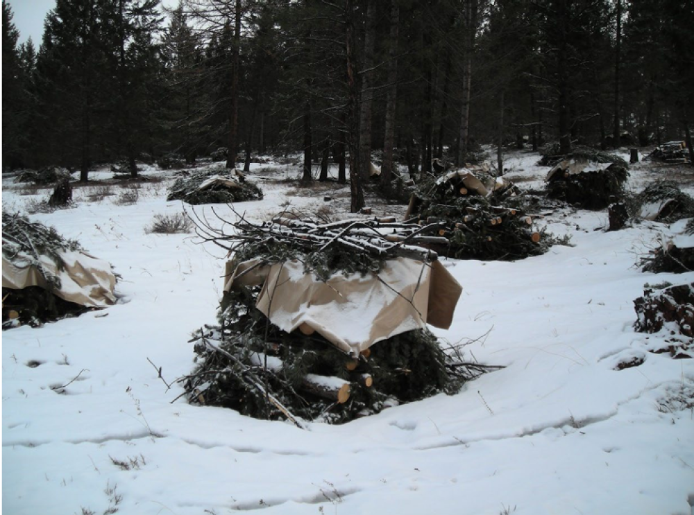 Slash Pile Burn to Begin On or Around Nov. 1st City of Kimberley